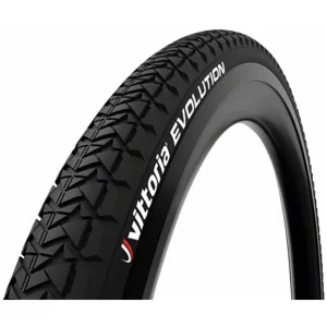 Evolution II Bike Tire - 29 x 1.9