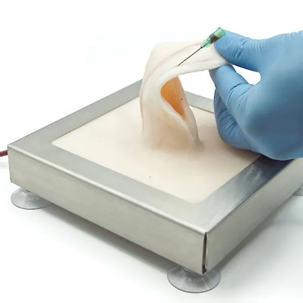 Rabbit Ear Venipuncture and Catheter Training Model