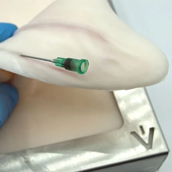 Rabbit Ear Venipuncture and Catheter Training Model