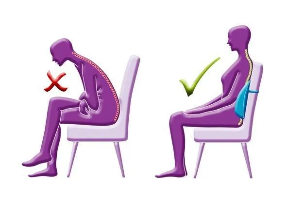 Superest Back Support - Supporting the spine and lower back. Suitable for home, office and car.