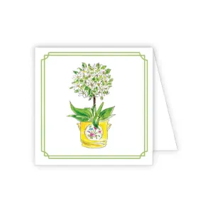 White Daisies in Cashe Pot Enclosure Card