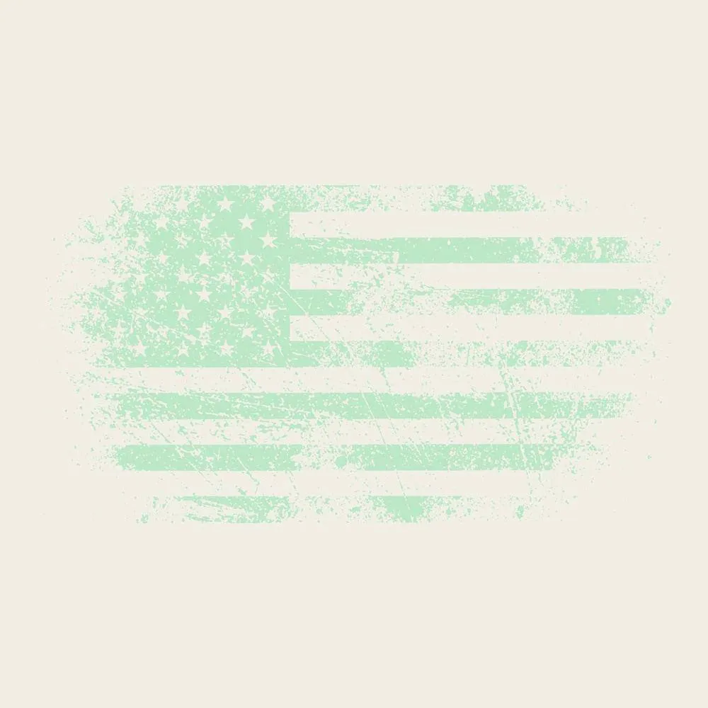 Women's Vintage American Flag Cropped T-Shirt - Natural